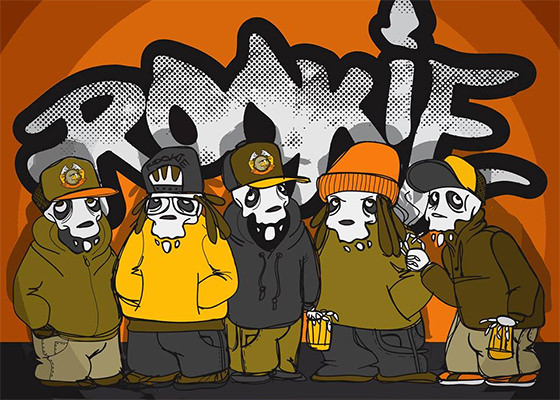 Projeto Rookie